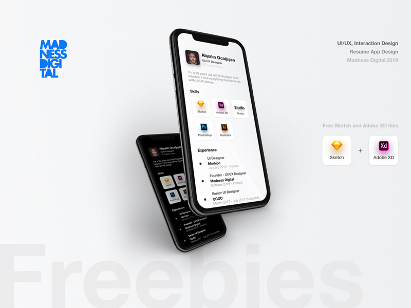 Resume App Design Concept