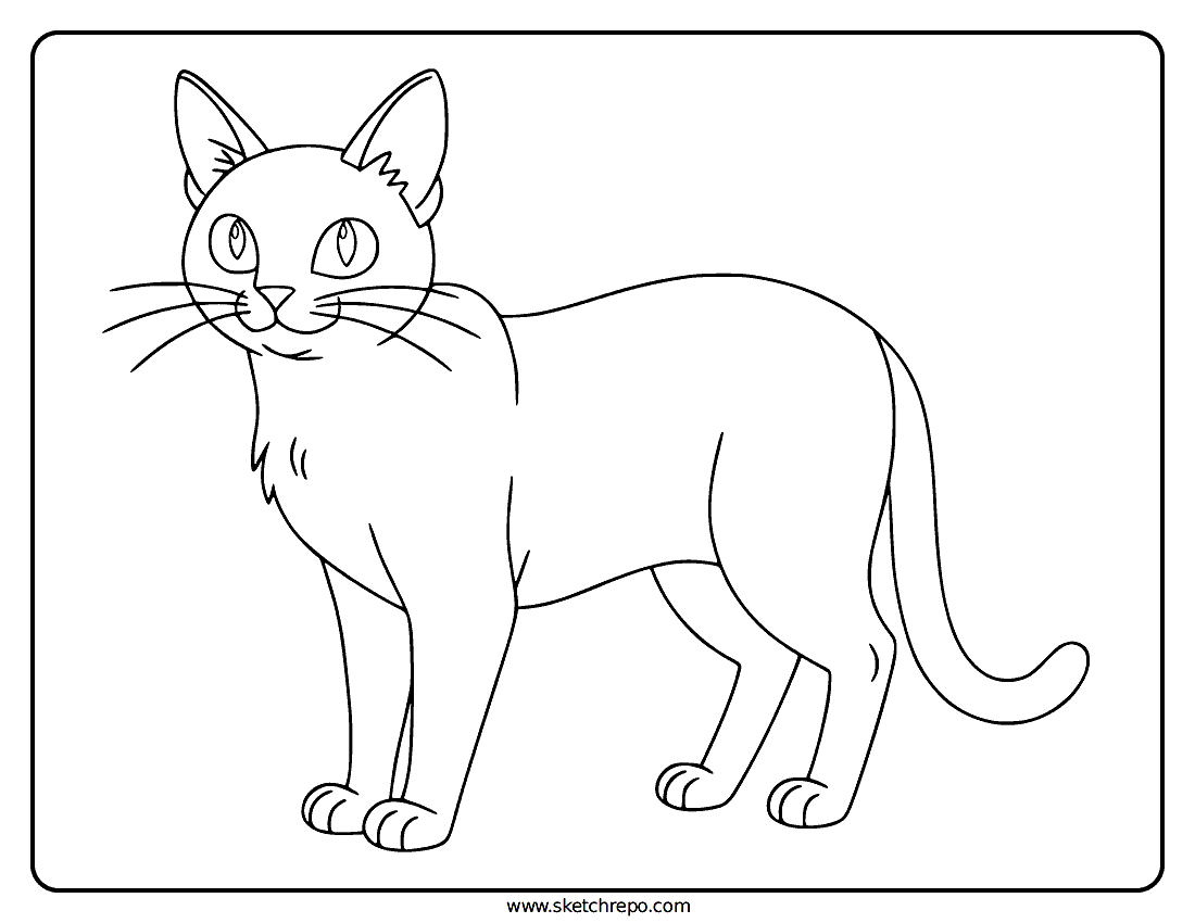 Detailed Cat Coloring Page
