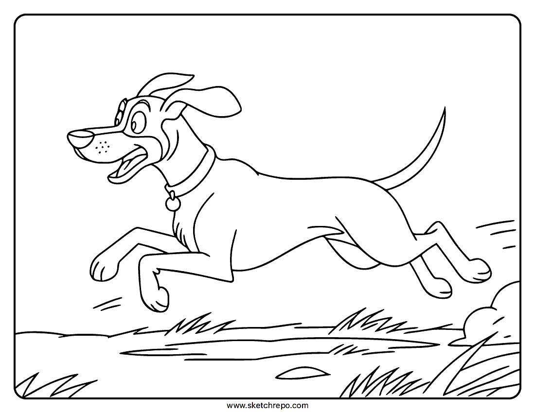Hunting Dog Coloring Page