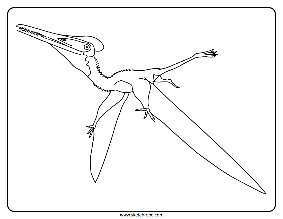 Pterodactyl Coloring Page