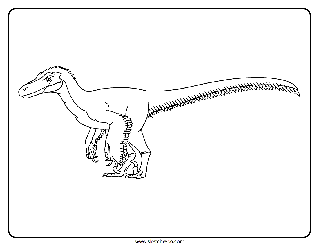 Pyroraptor Coloring Page