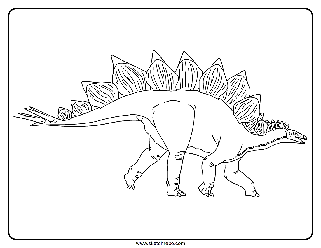 Stegosaurus Coloring Page